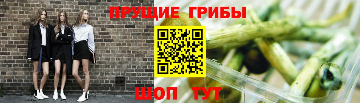 Галлюциногенные грибы MAGIC MUSHROOMS Сухой Лог